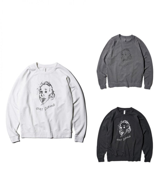 "STAY CURIOUS" RAGLAN CREW SWEAT